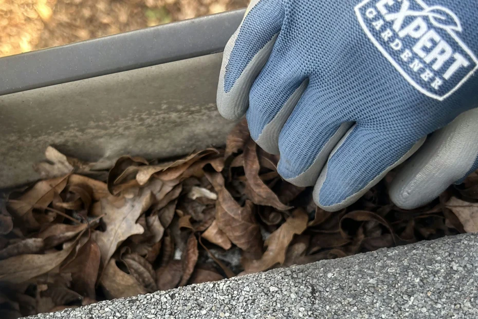 Gutter Cleaning Melbourne Beach FL